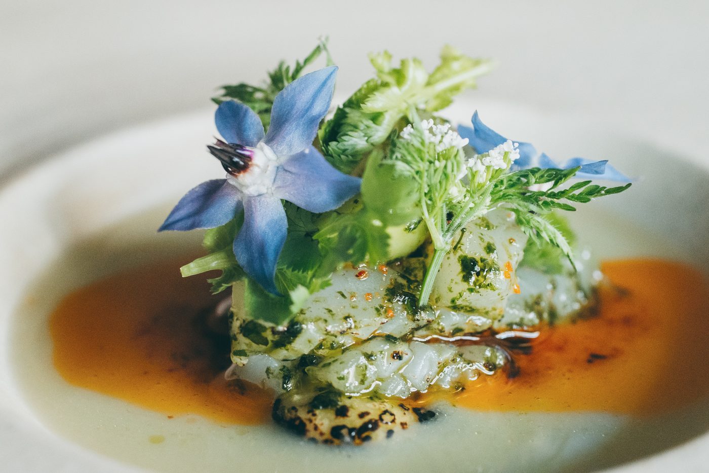 VILLA COMMUNICO のお料理(季節の一皿)